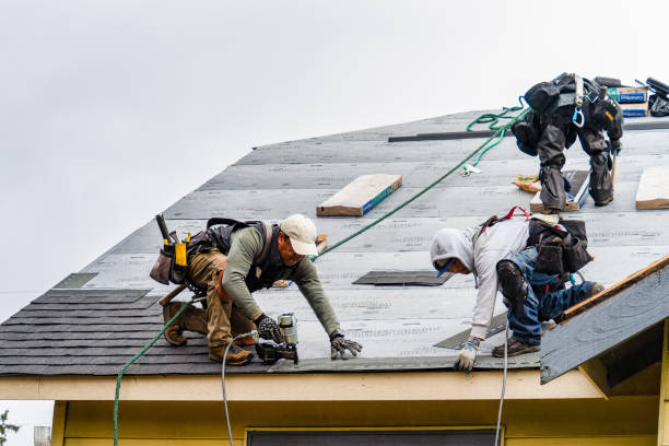 Professional Roof Installation technician working in Auburn, IL